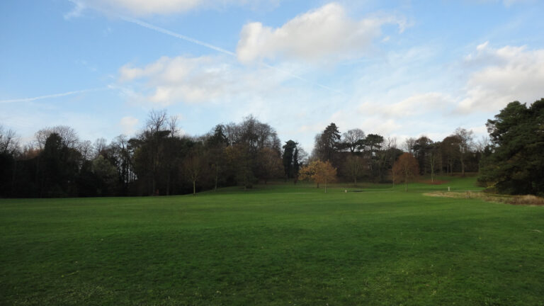 ingilterede-park-doga-10