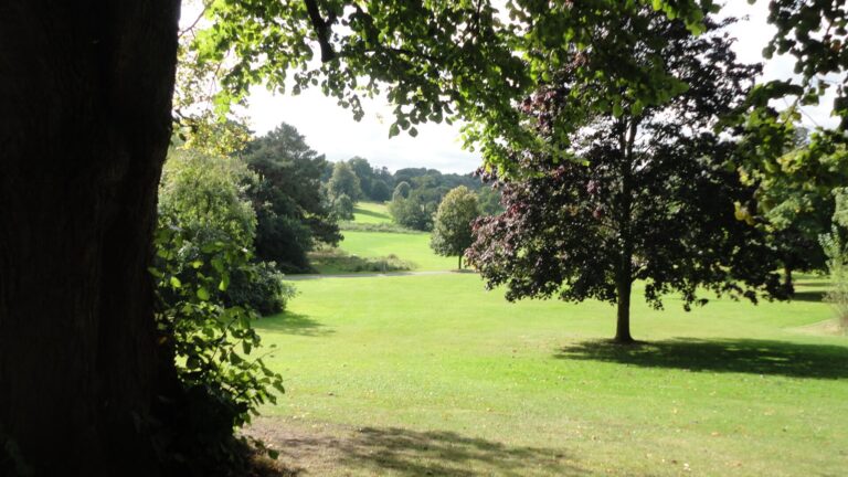 ingilterede-park-doga-2