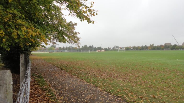 ingilterede-park-doga-3