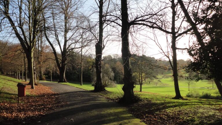 ingilterede-park-doga-4