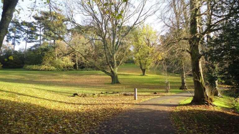 ingilterede-park-doga-5