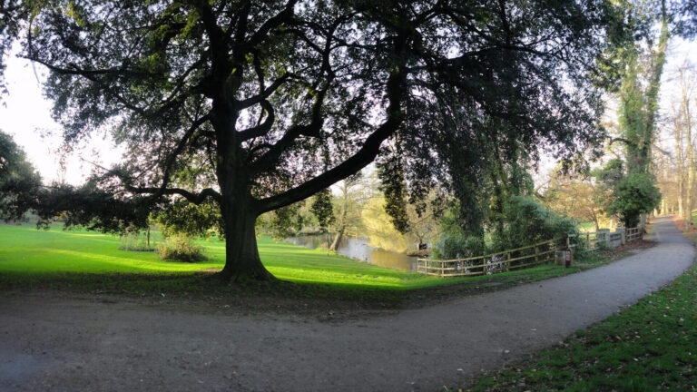 ingilterede-park-doga-6